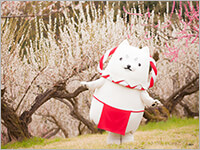 しっぺい12