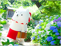 しっぺい13