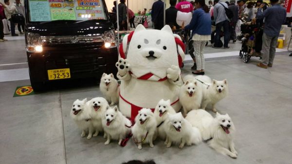 お誕生日おめでとう〜ワン