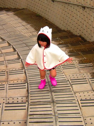 わが家のしっぺい１
