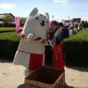 しっぺいといわた茶と青空と茶娘