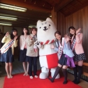 しっぺいと長藤祭り