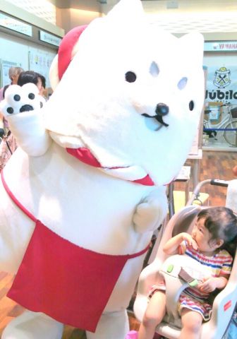 初めまして!!しっぺい君!!