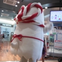 踊るしっぺい