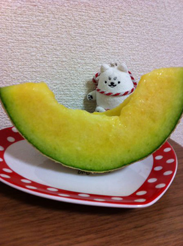 頂き物のメロン