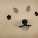 しっぺいにズームイン