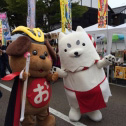 いぬつながり