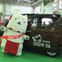 愛犬家の為の車だよ♪