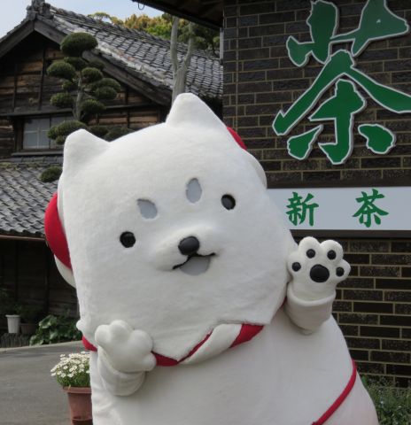 新茶いかがですか～☆