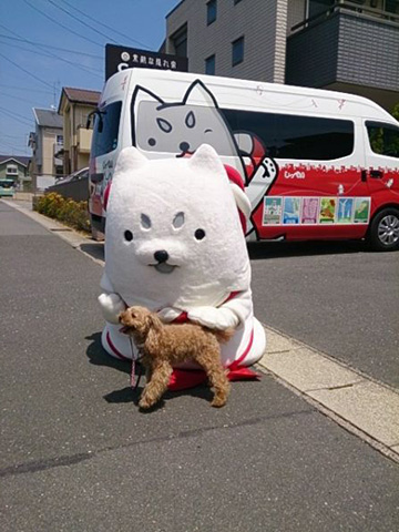 犬と犬(笑)