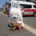 犬と犬(笑)
