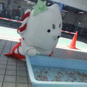 絶対すくってやる！！