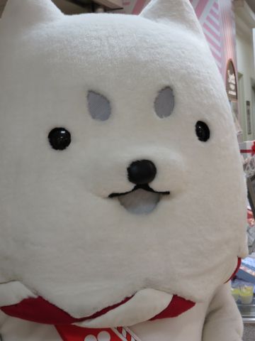つぶらな瞳♪