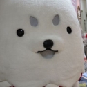 つぶらな瞳♪