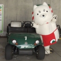 車大好き♪