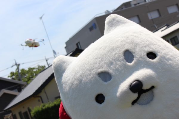 見て見て!!　ぼく飛んでるよ!