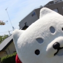 見て見て!!　ぼく飛んでるよ!
