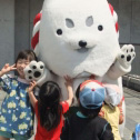 しっぺい大人気♡