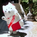 駒ヶ根光前寺にて