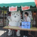 Bゾーン早川前にて