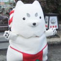 どすこ～い!!