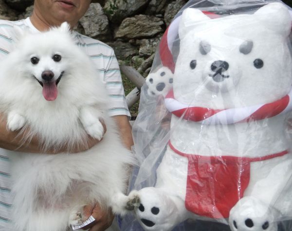白犬対決！！
