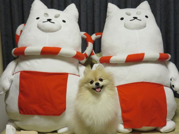 届いたよ☆