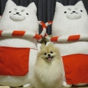 届いたよ☆