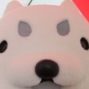 超アップ（笑）