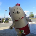 今日はいい天気☆