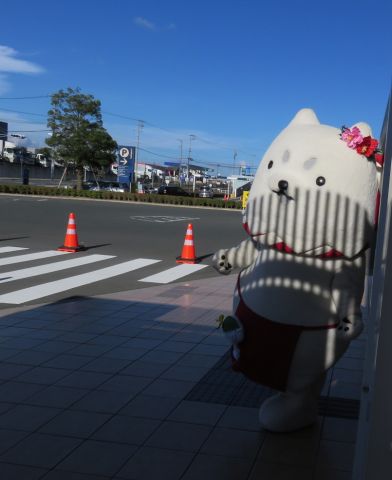 シマシマっぺい。