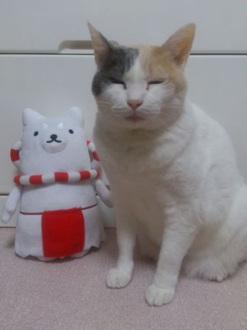 家族皆しっぺい大好き！