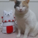 家族皆しっぺい大好き！
