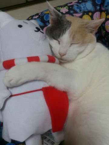 いつも一緒…★