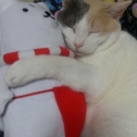 いつも一緒…★