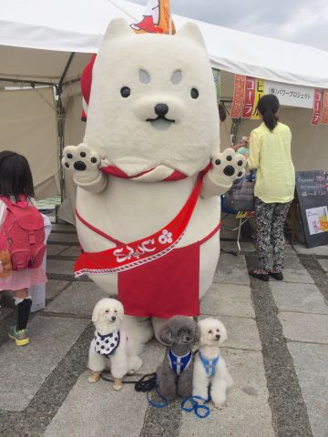 マテしたしっぺいくん