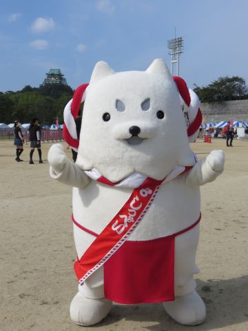 しっぺい来阪~!!