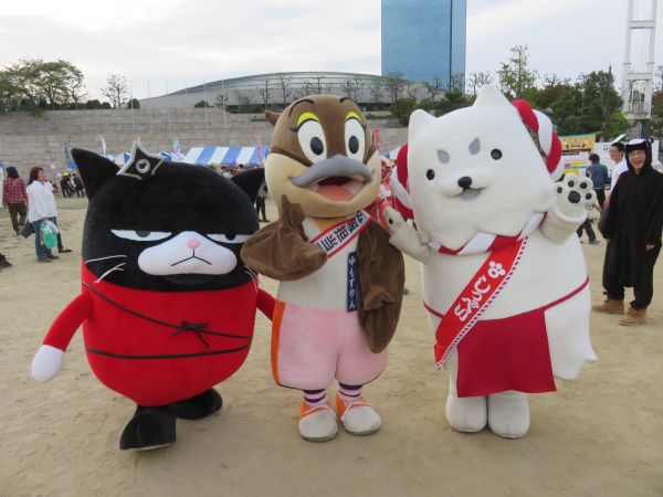犬・猫・鳥