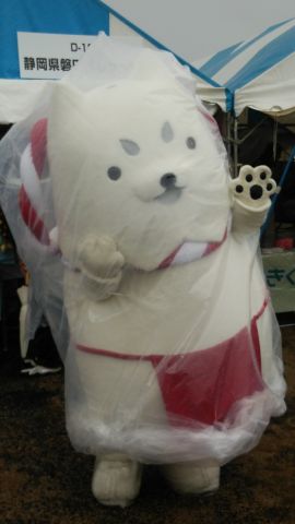 雨にも負けず