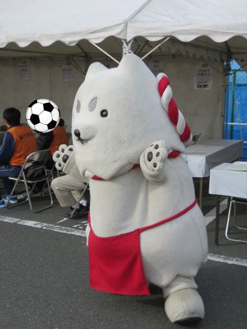 しっぺいの準備体操♪