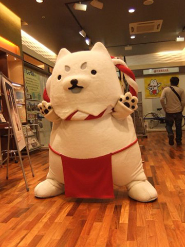 どすこーい!!