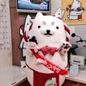 お誕生日おめでとう