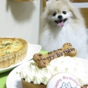 ニコさんのケーキでお祝いだよ♪