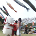 しっぺいと鯉のぼり１
