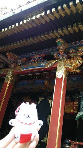 家康公縁の場所へ