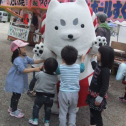 お友達に囲まれるしっぺい♡
