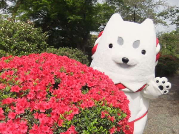 つつじとしっぺい♪