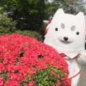 つつじとしっぺい♪