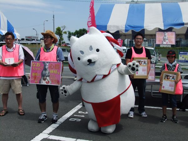 なおちゃん募金