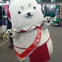 ドックショ－(^^)